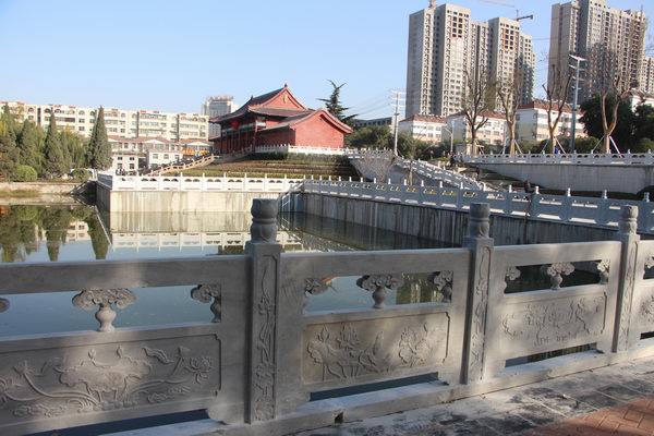 IMG_3545.jpg IMG_3545.jpg