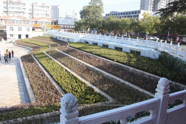 IMG_3555.jpg IMG_3555.jpg