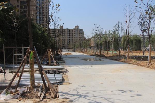 IMG_5500.JPG IMG_5500.JPG