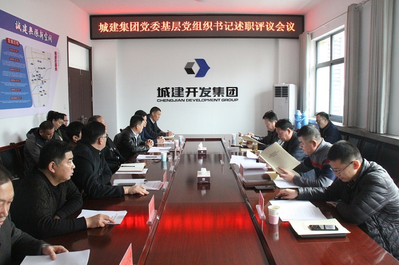 集團黨委黨組織書記述職評議.JPG 集團黨委黨組織書記述職評議.JPG