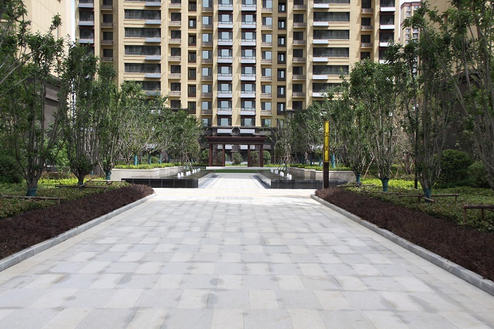 IMG_3160.JPG IMG_3160.JPG