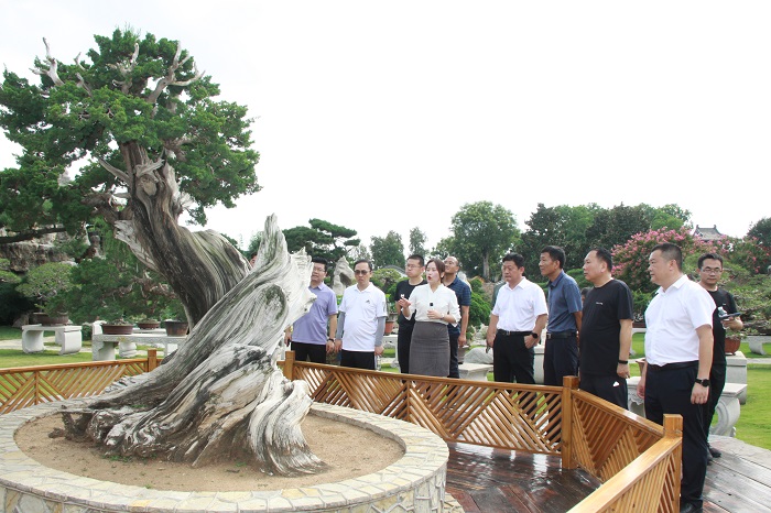 IMG_5030.JPG IMG_5030.JPG