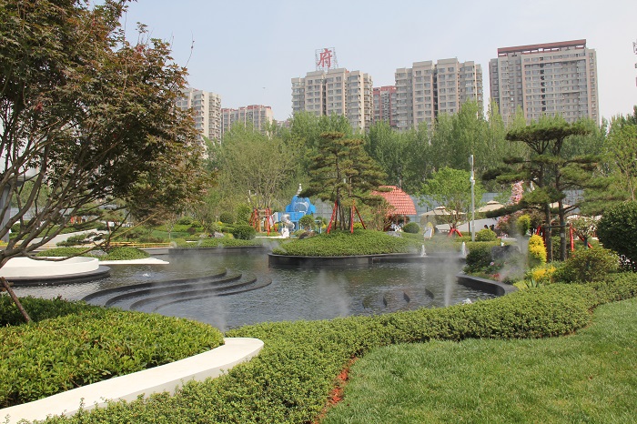 IMG_6306.JPG IMG_6306.JPG